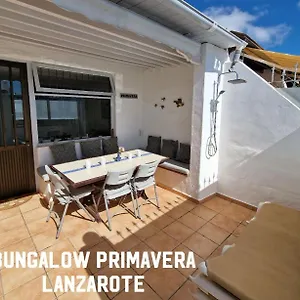 https://bungalow-primavera.puertodelcarmen-hotels.org
